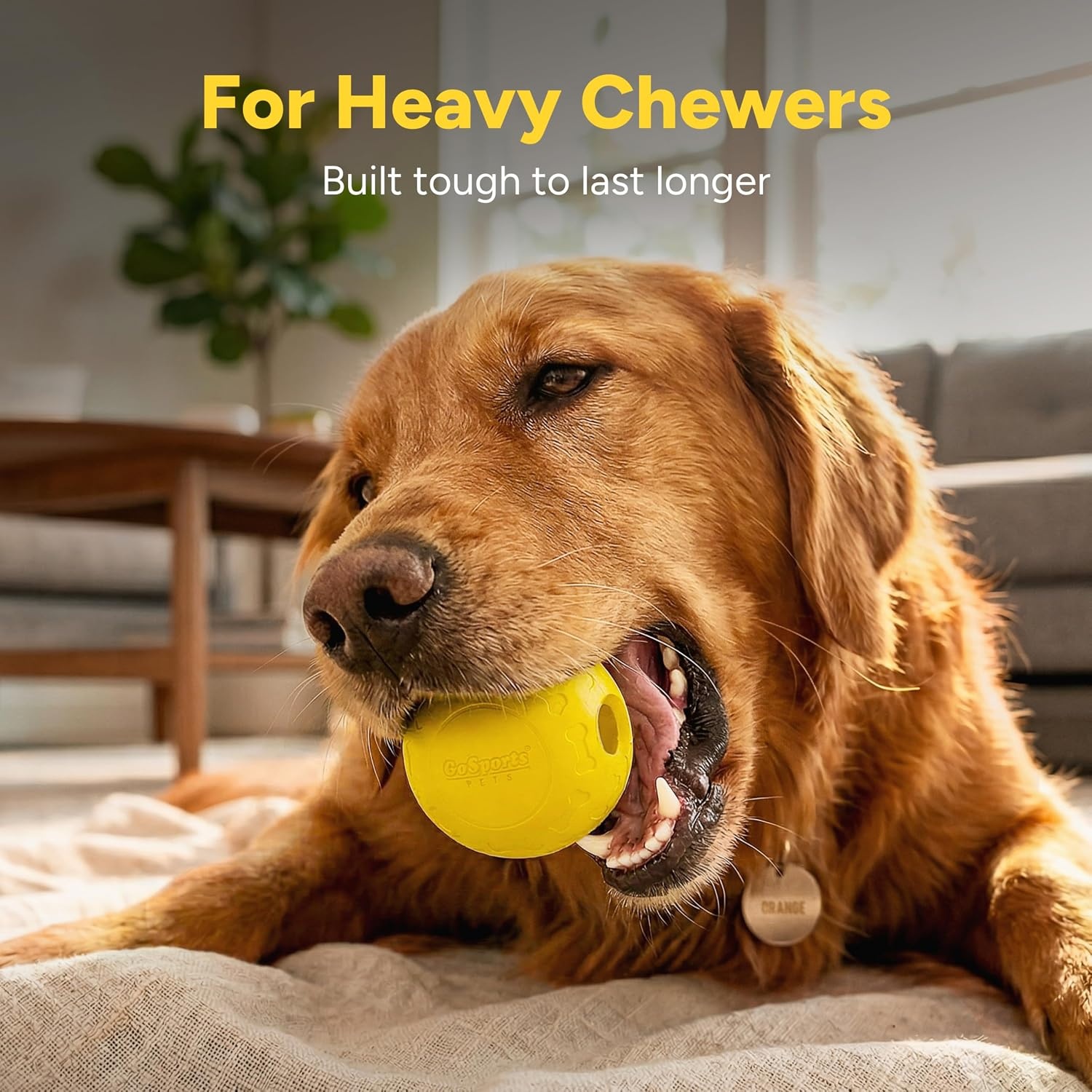 GoSports Pets Solid Rubber Dog Balls – Heavy Duty for Aggressive Chewers – 3 Pack, 2.5 Inch